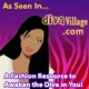 divavillagebanner
