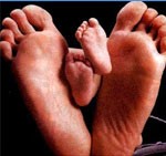 Therapeutic Foot & Hand Reflexology